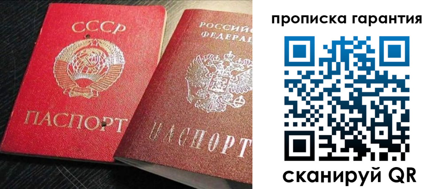прописка 2025 в Ногинске